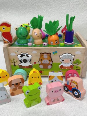 Toddlers Montessori Wooden Educational Toys, Shape Sorting Toys Gifts, Wood Learning Fine Motor Skills Game, For Baby Boys Girls Age 1 2 3 4 Year Old, For Kids 1-4 Christmas And Halloween Gift