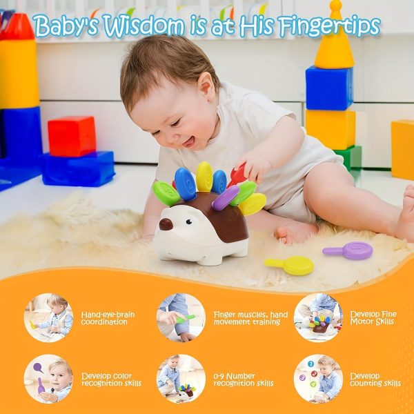 Montessori Sensory Hedgehog Toys For Baby.Toddler Fine Motor Skills Learning Sensory Toys, Early Education Sorting Skills, Fine Motor Skills Learning, Outdoor Birthday Gift