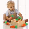 Montessori Toys For 1 2 3 Year Old Toddlers, Carrot Harvest Game Wooden Toy For 12 18 Months Baby Boys And Girls, Educational Learning Shape Sorting Matching Gifts For Babies 1-3