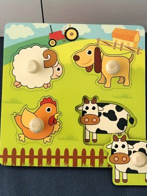 Montessori Fruit Puzzle Board for Kids - 3D Wooden Toy for Early Education and Cognitive Development