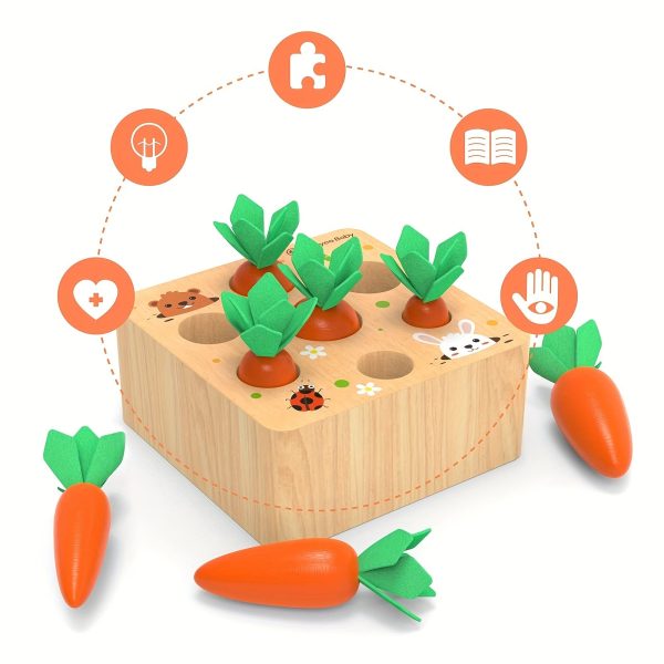 b3f90d9e62c7c70790e5dac013ef33e2.jpg Montessori Toys For 1 2 3 Year Old Toddlers, Carrot Harvest Game Wooden Toy For 12 18 Months Baby Boys And Girls, Educational Learning Shape Sorting Matching Gifts For Babies 1-3