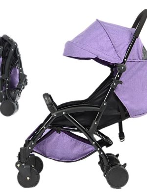 Luxury Travel System